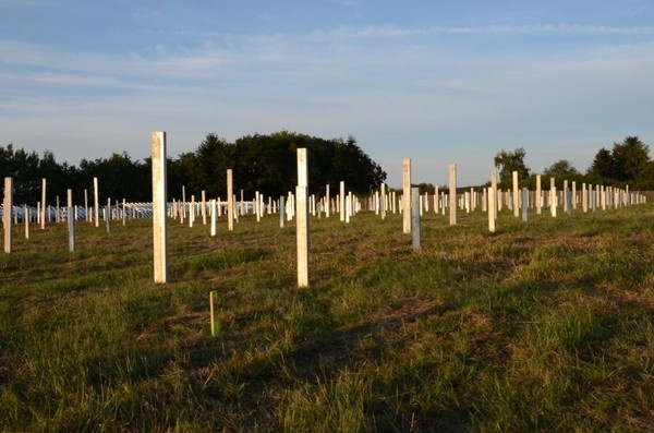 Solarpark Galgenberg