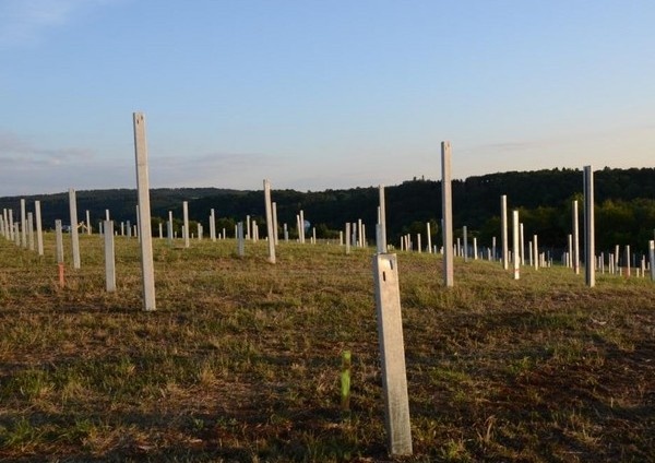 Solarpark Galgenberg