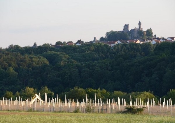 Solarpark Galgenberg