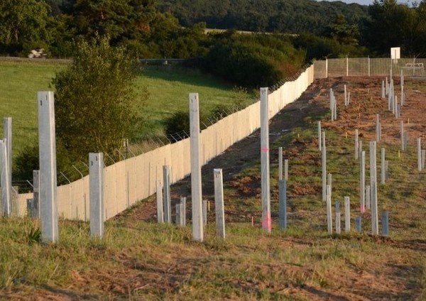 Solarpark Galgenberg